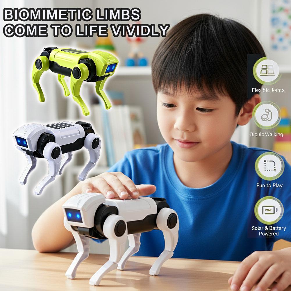 1/2Pcs Rc Robot Children's Rem - Science Robotics 评论和价格